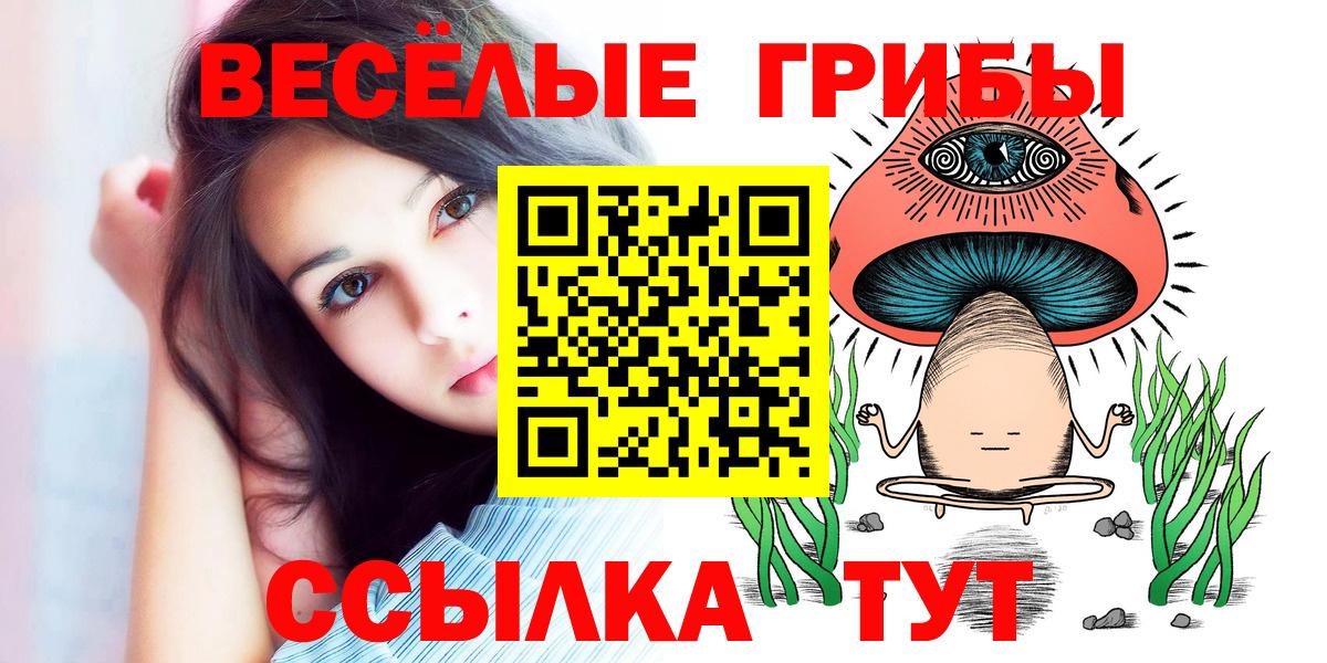 Галлюциногенные грибы MAGIC MUSHROOMS  Вход с VPN  Усть-Илимск  Галлюциногенные грибы Magic Shrooms 