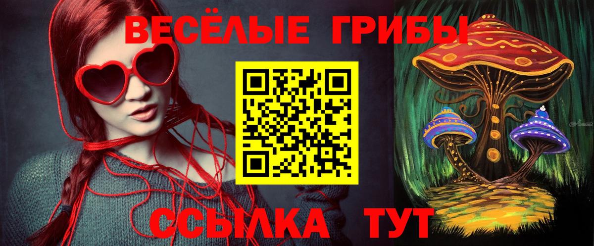 Галлюциногенные грибы прущие грибы Усть-Илимск