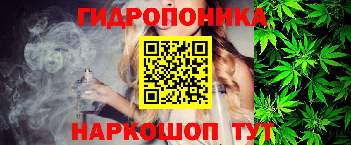 Бошки Шишки White Widow  Марихуана план  Усть-Илимск  Вход с VPN 